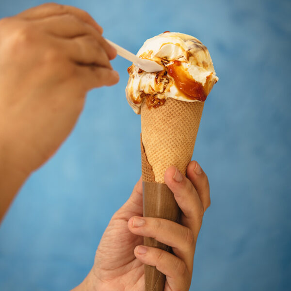 Home3_heladeria_rayas